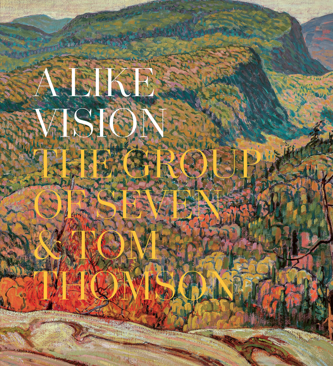 A Like Vision – Goose Lane Editions