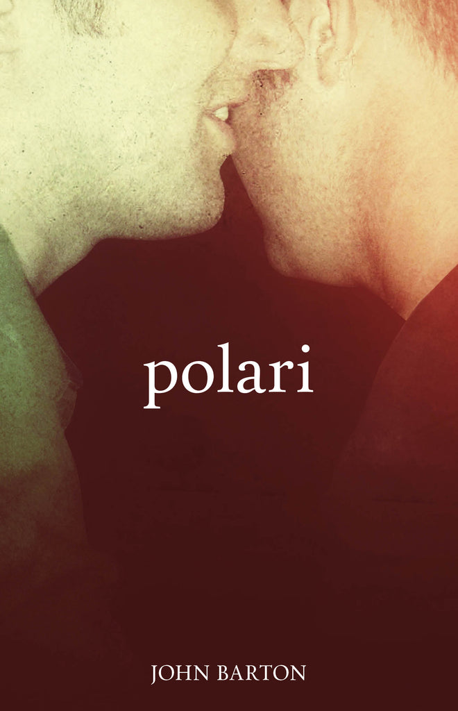 Polari (eBOOK)