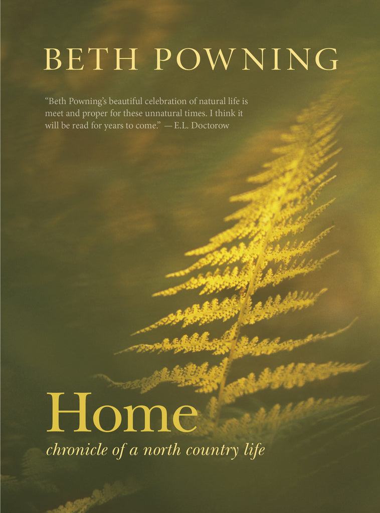 Home (eBOOK)