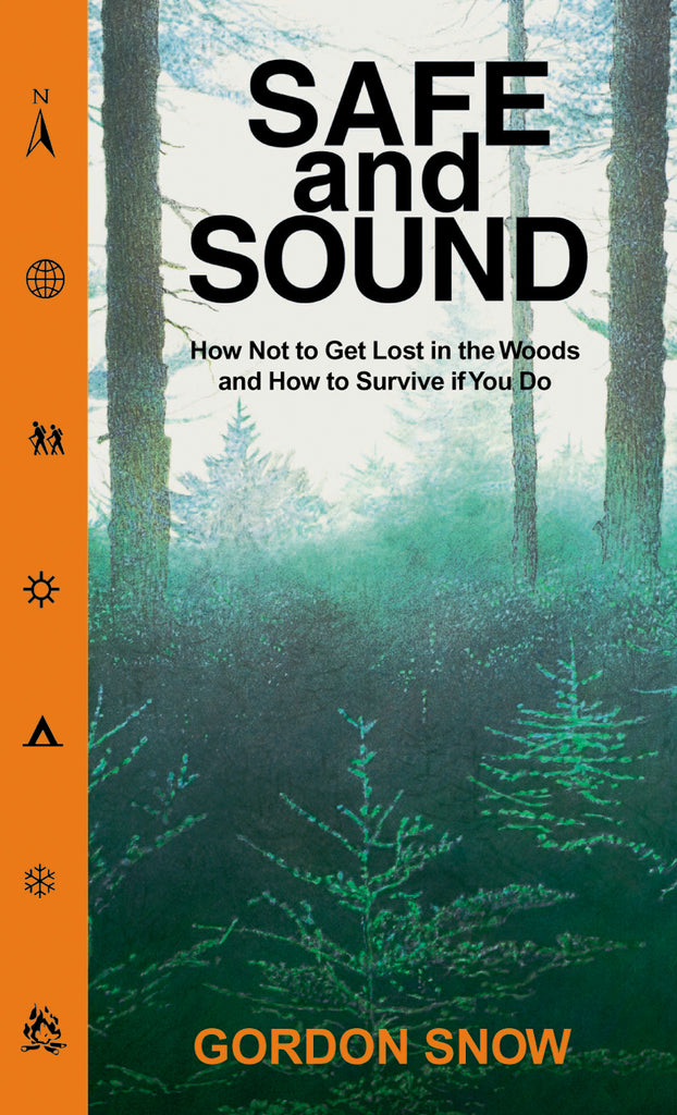 Safe and Sound (eBOOK)