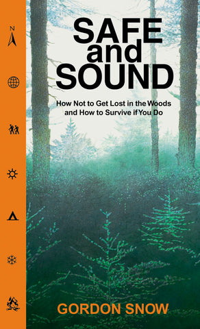 Safe and Sound (eBOOK)