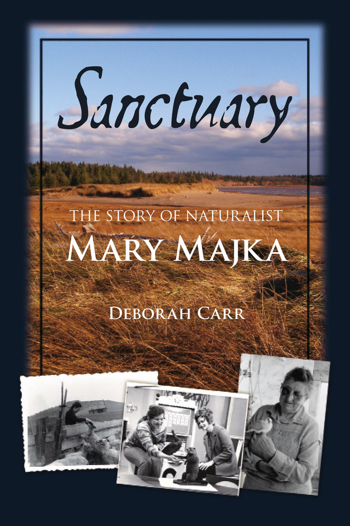 Sanctuary (eBOOK)