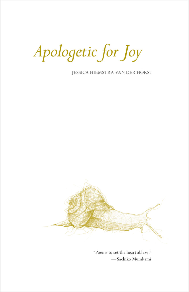 Apologetic for Joy