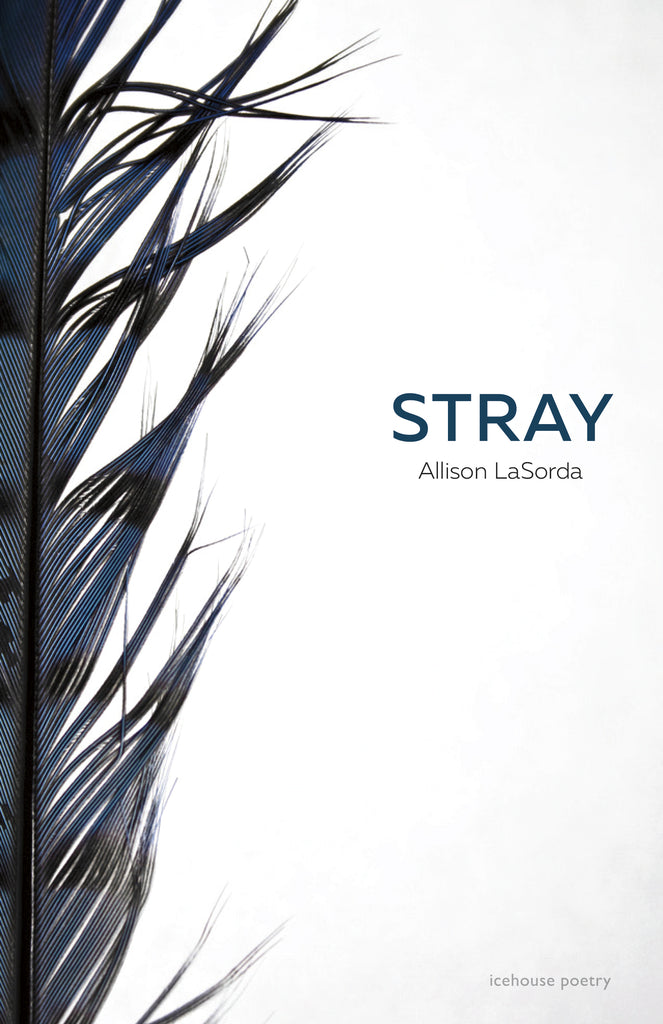 Stray (eBOOK)
