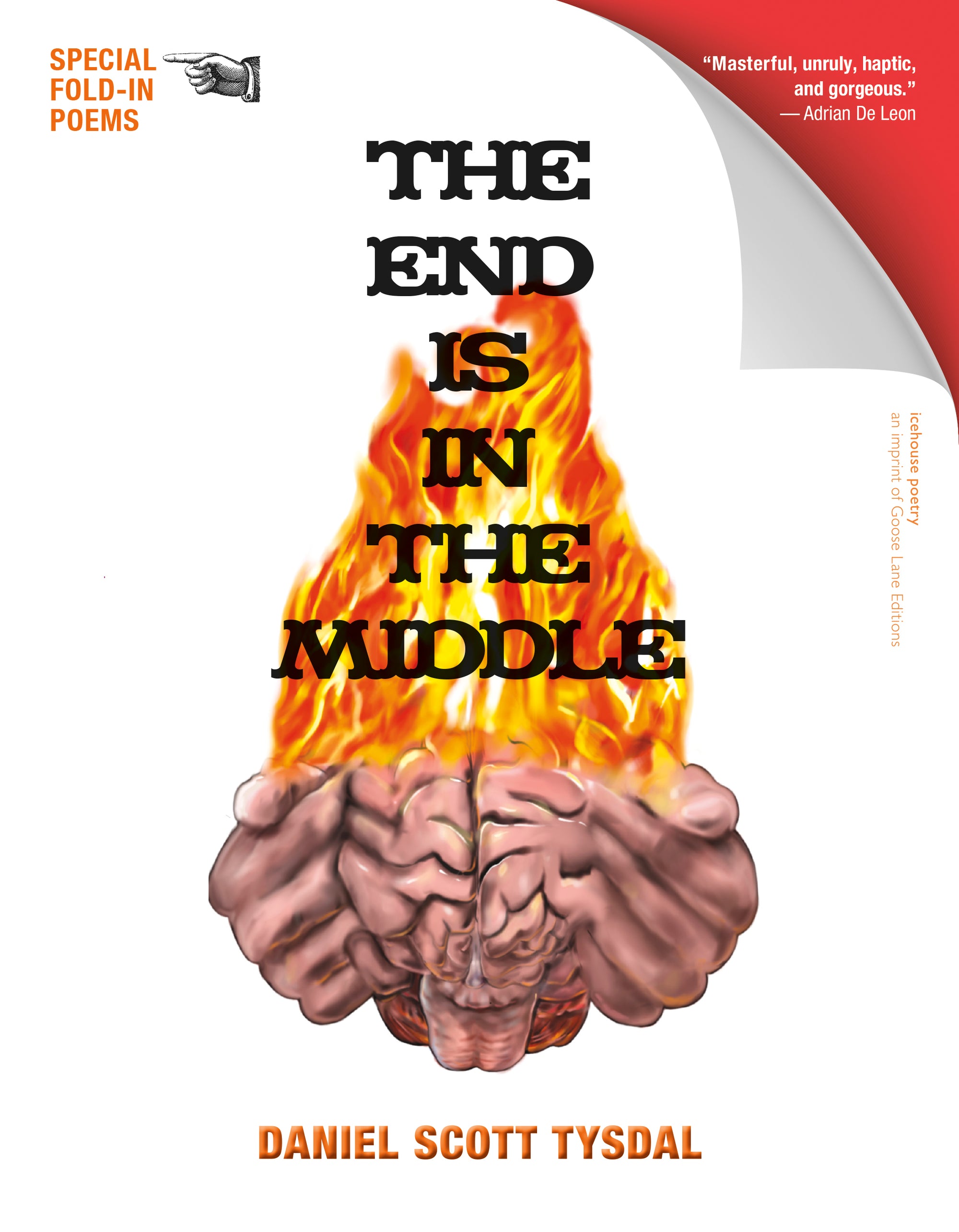 The End Is in the Middle