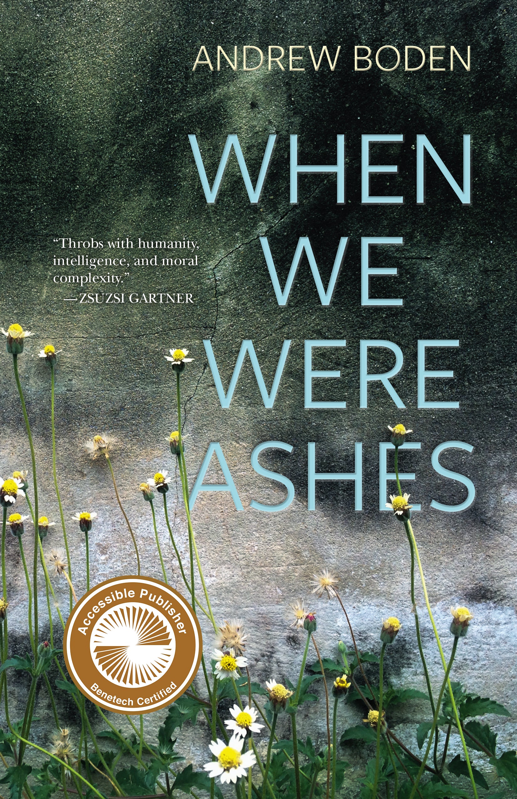 When We Were Ashes (eBOOK)