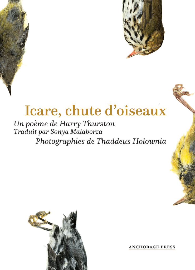 Icare, chute d’oiseaux (French)