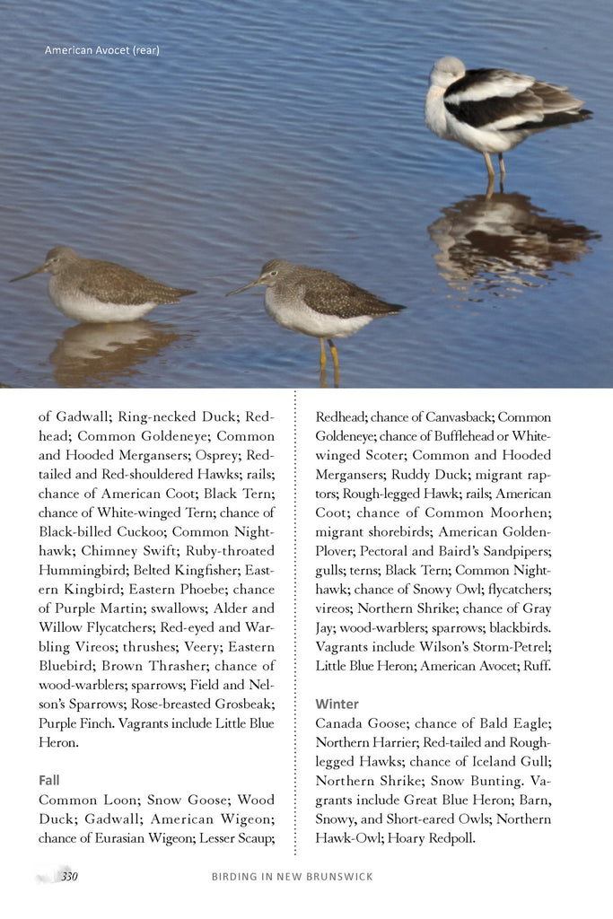 Birding in New Brunswick (eBOOK)